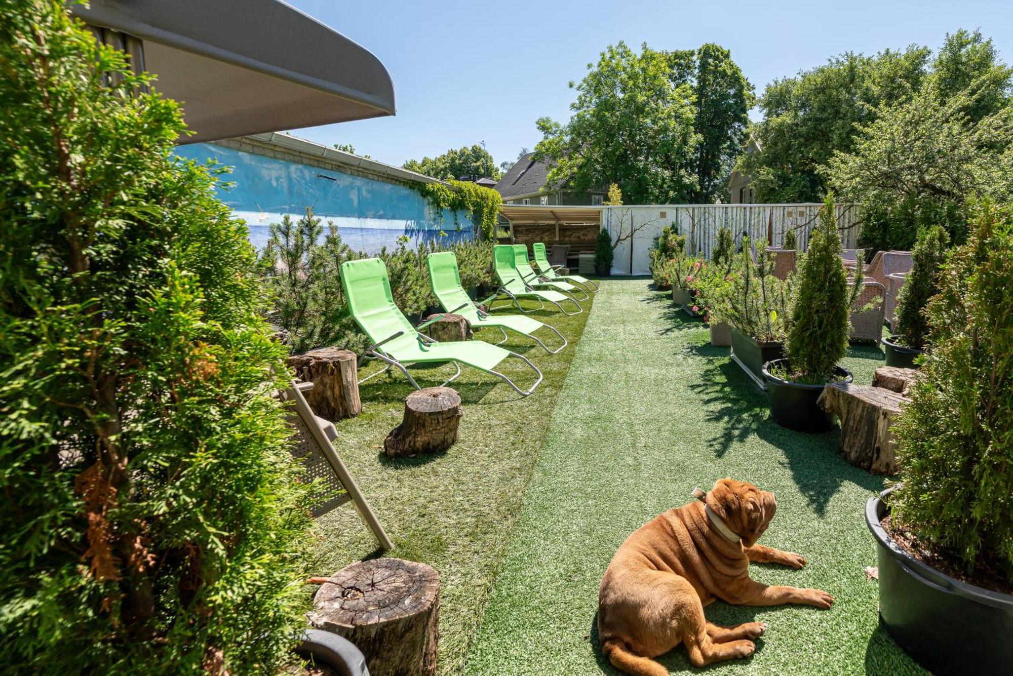 Garden Camping Tallinn Ngoại thất bức ảnh