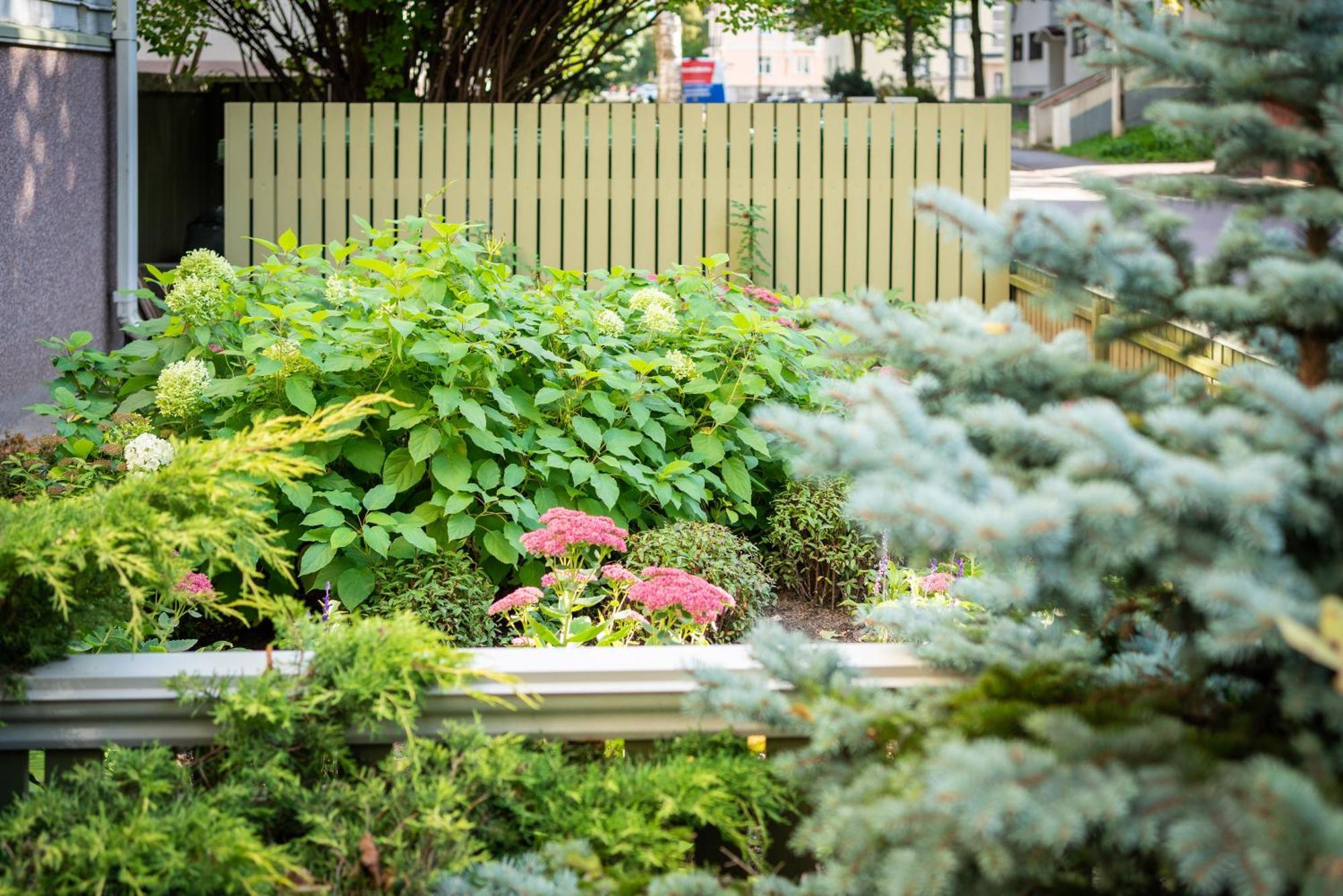 Garden Camping Tallinn Ngoại thất bức ảnh