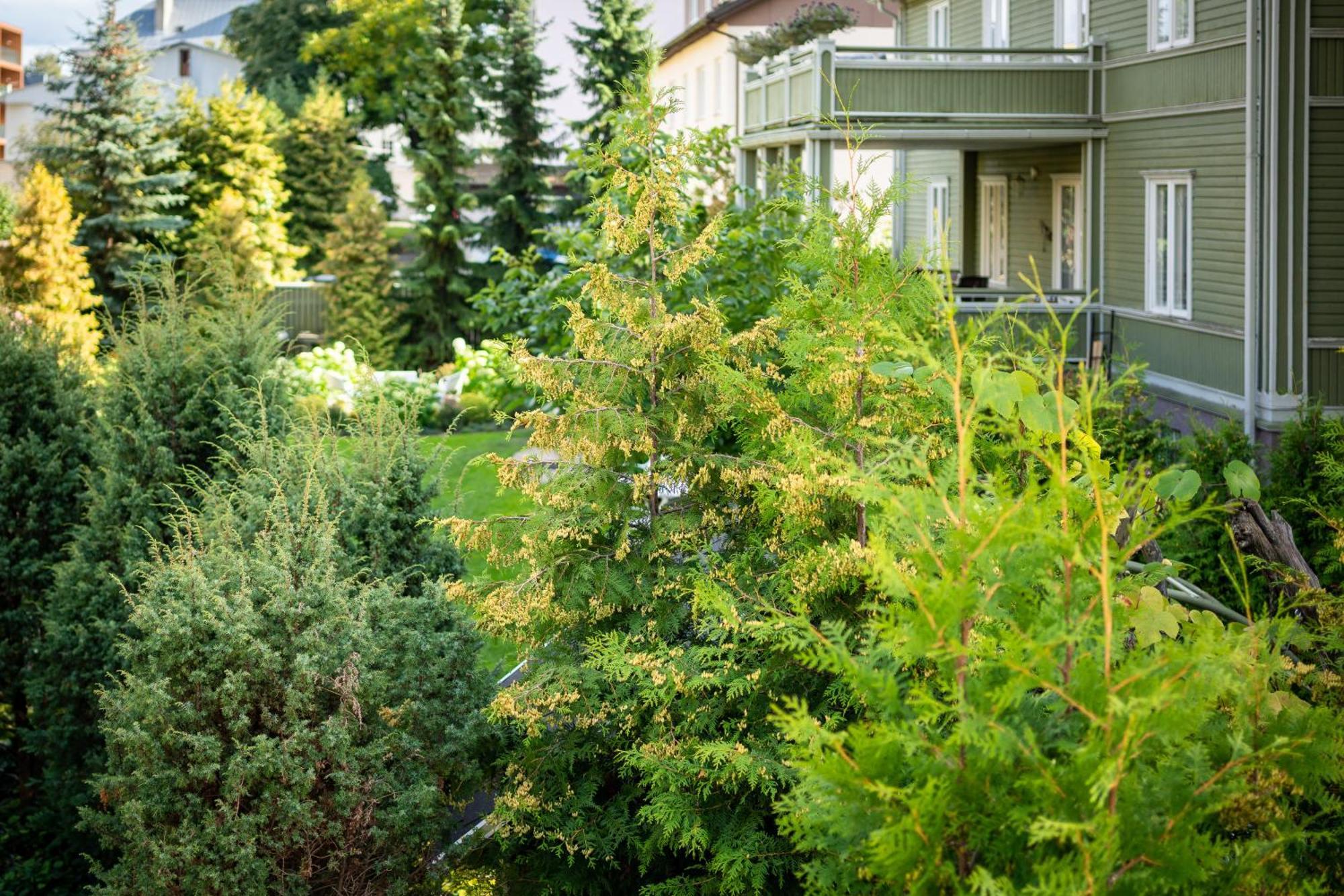 Garden Camping Tallinn Ngoại thất bức ảnh