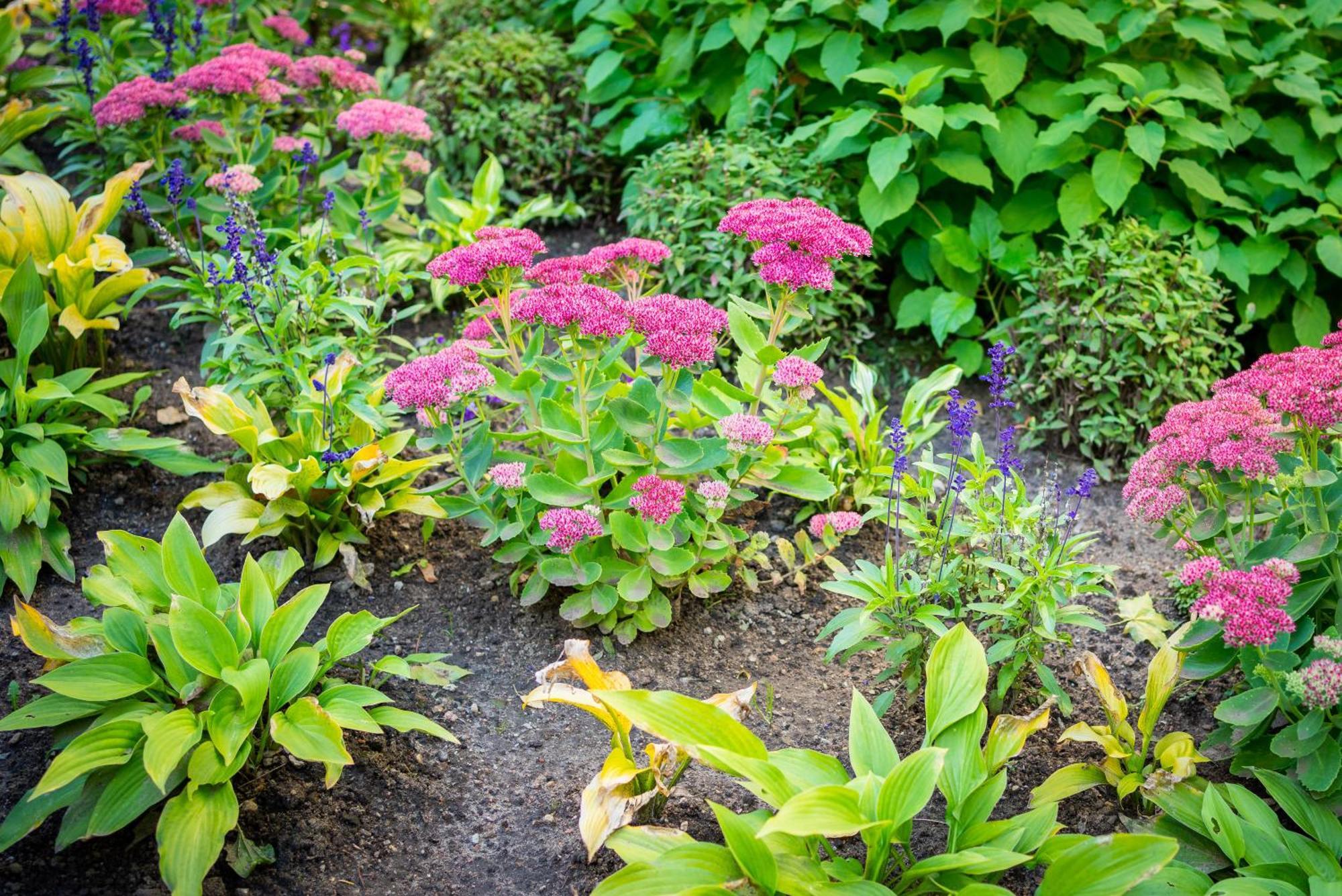 Garden Camping Tallinn Ngoại thất bức ảnh