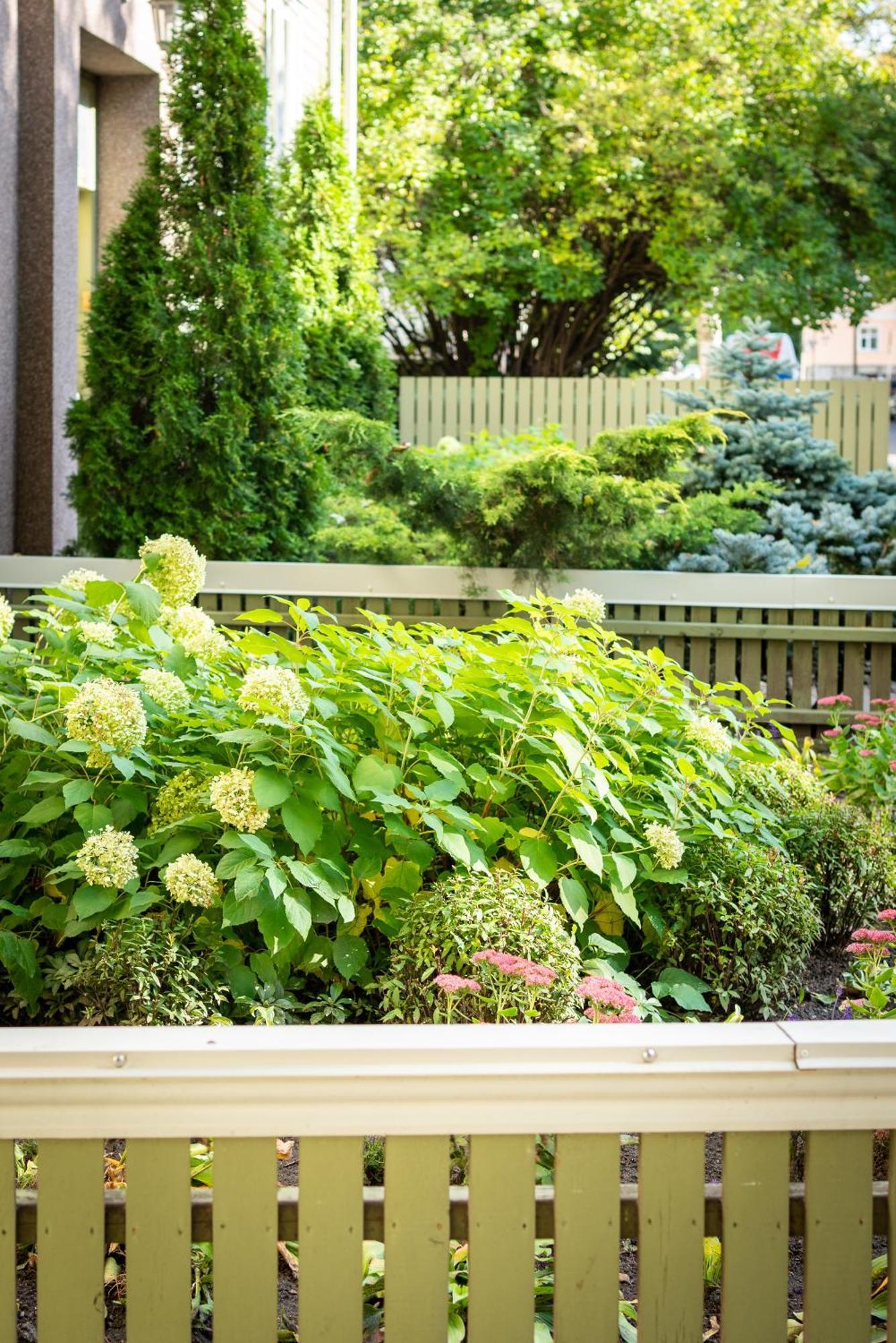 Garden Camping Tallinn Ngoại thất bức ảnh