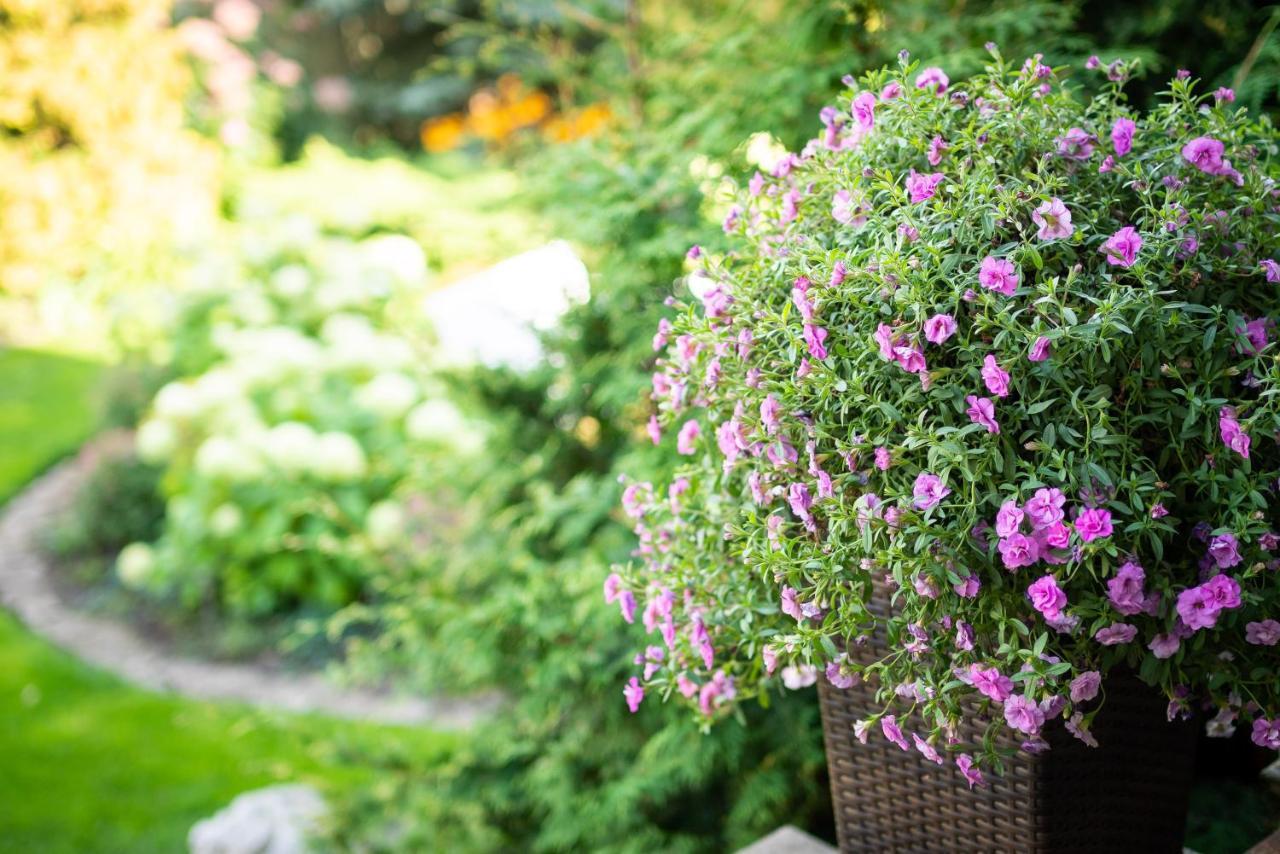 Garden Camping Tallinn Ngoại thất bức ảnh